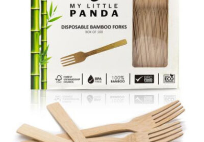 BambooForks